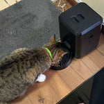 Dispensador de Comida para Gatos con Wifi